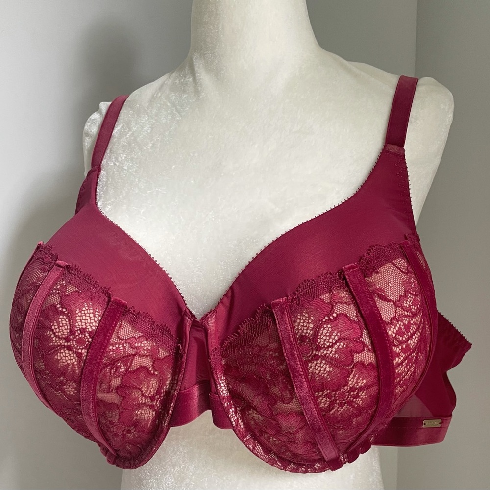NWT Adore Me Lace Velvet Sexy Bordeaux Bra 44D